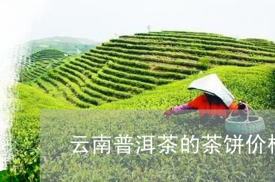 云南普洱茶的茶饼价格/2023100785158