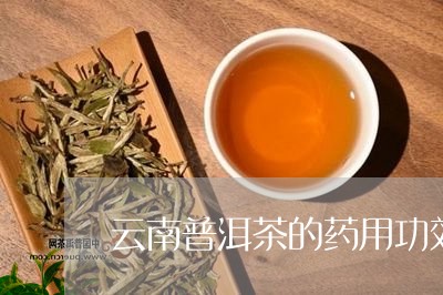 云南普洱茶的药用功效/2023061953824