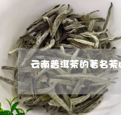 云南普洱茶的著名茶山/2023062252826