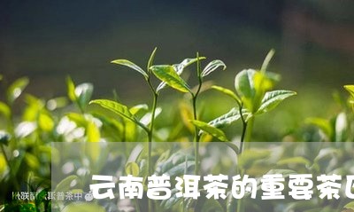 云南普洱茶的重要茶区/2023100869571