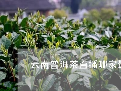 云南普洱茶直播哪家最好/2023120704147