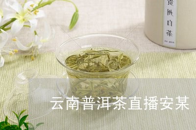 云南普洱茶直播安某/2023101764957