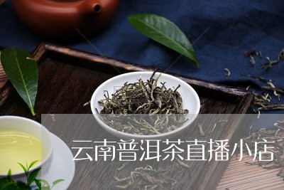 云南普洱茶直播小店/2023091454150