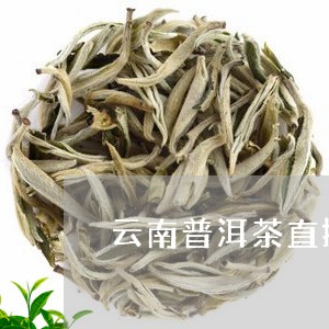 云南普洱茶直播沁雅店/2023062281603