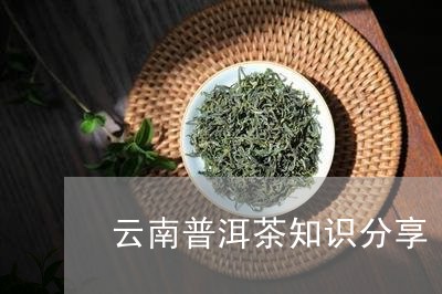 云南普洱茶知识分享/2023091417370