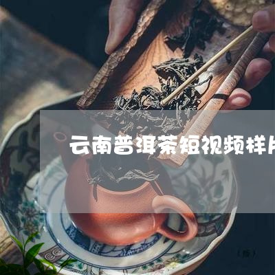 云南普洱茶短视频样片/2023100683037