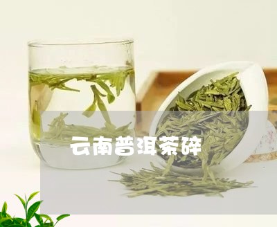 云南普洱茶碎/2023091348583