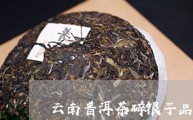 云南普洱茶碎银子品牌/2023100770492