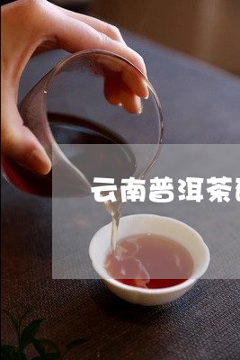 云南普洱茶碎银子的功效/2023050559584