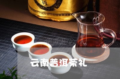 云南普洱茶礼/2023042700627