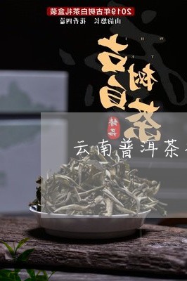 云南普洱茶礼品盒包装/2023120653847