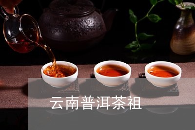 云南普洱茶祖/2023042633404