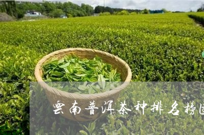 云南普洱茶种排名榜图片/2023050416373