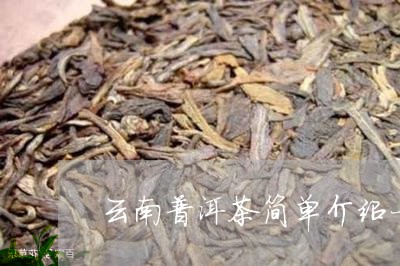 云南普洱茶简单介绍一下/2023082863915