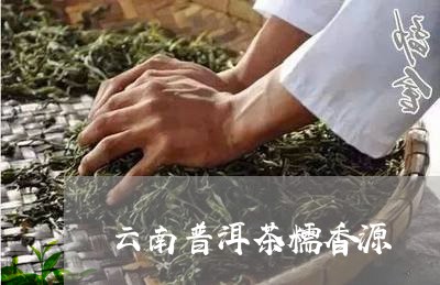 云南普洱茶糯香源/2023102695137