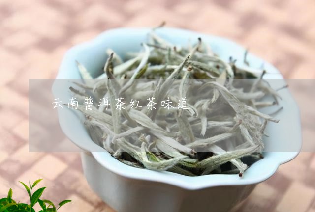 云南普洱茶红茶味道/2023120528483