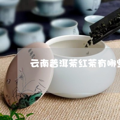 云南普洱茶红茶有哪些/2023080305949