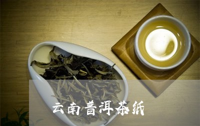 云南普洱茶纸/2023042793502