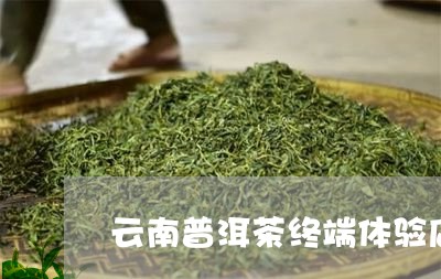 云南普洱茶终端体验店/2023100705036