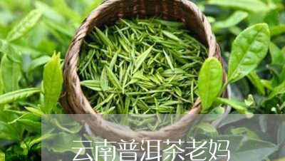 云南普洱茶老妈/2023112654158