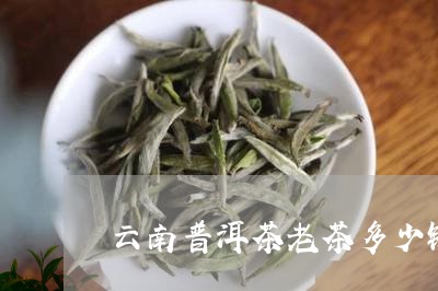 云南普洱茶老茶多少钱/2023062482616