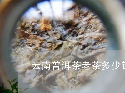 云南普洱茶老茶多少钱/2023073184838