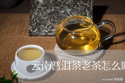 云南普洱茶老茶怎么喝/2023100799292