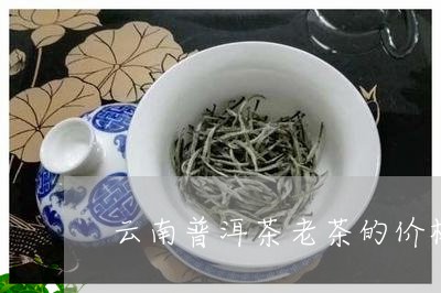 云南普洱茶老茶的价格/2023100737150