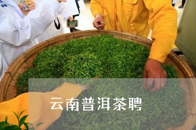 云南普洱茶聘/2023042632520