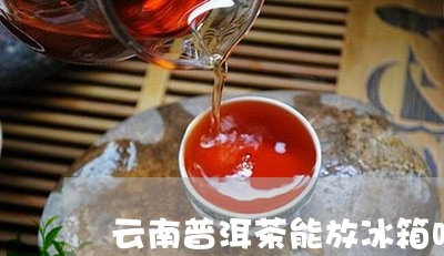 云南普洱茶能放冰箱吗/2023093028173