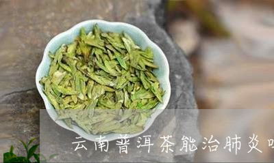 云南普洱茶能治肺炎吗/2023093073046