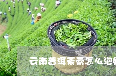 云南普洱茶膏怎么泡好喝/2023082550717