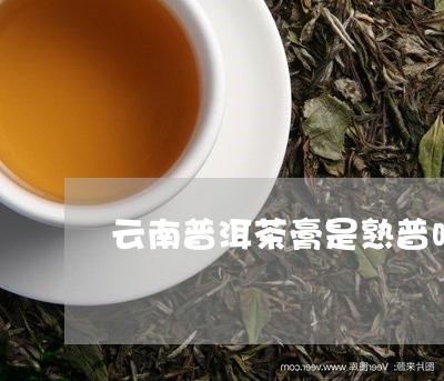 云南普洱茶膏是熟普吗/2023093018160