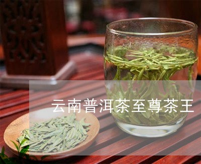 云南普洱茶至尊茶王/2023082671947