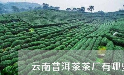 云南普洱茶茶厂有哪些/2023061416179