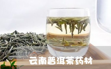 云南普洱茶药材/2023101686169