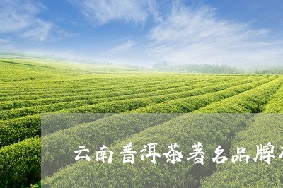 云南普洱茶著名品牌有/2023063035041