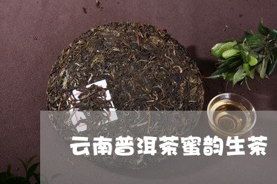 云南普洱茶蜜韵生茶/2023120546350