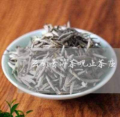 云南普洱茶观止茶庄/2023091320583