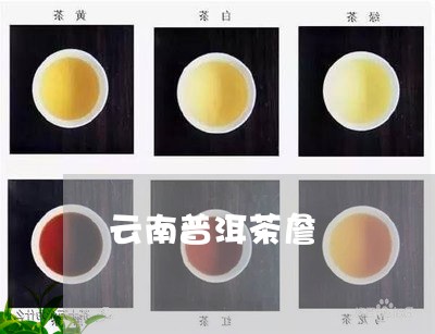 云南普洱茶詹/2023042791268