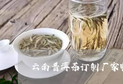 云南普洱茶订制厂家电话/2023103139382