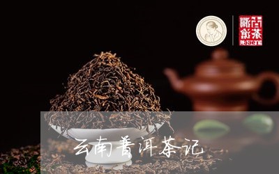 云南普洱茶记/2023081580593