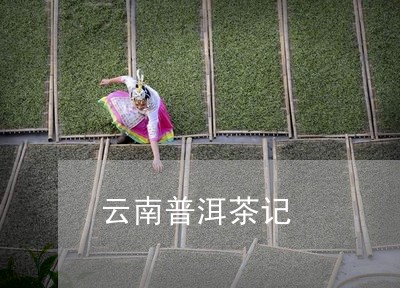 云南普洱茶记/2023101632695