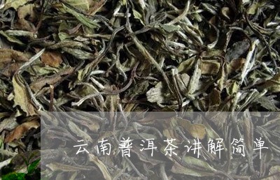 云南普洱茶讲解简单/2023110943147