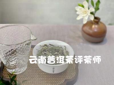 云南普洱茶评茶师/2023082859413