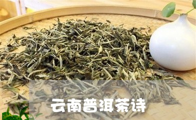 云南普洱茶诗/2023042759448