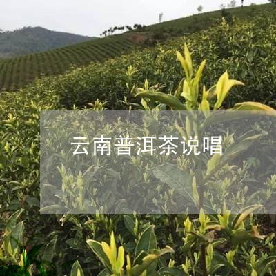 云南普洱茶说唱/2023101635837