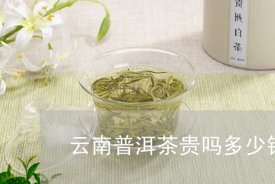 云南普洱茶贵吗多少钱/2023120681572