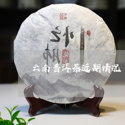 云南普洱茶近期情况/2023091481693