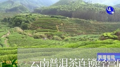 云南普洱茶连锁经营店有哪些/2023110258250